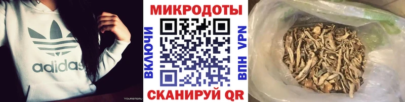Галлюциногенные грибы GOLDEN TEACHER продажа наркотиков Грязовец